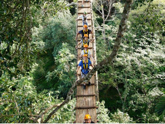 ジャングルで絶叫・絶景・ターザン体験アトラクション！フライング・ハヌマーン(FlyingHanuman)＜ホテル送迎付／英語ガイド／昼食付プランあり＞