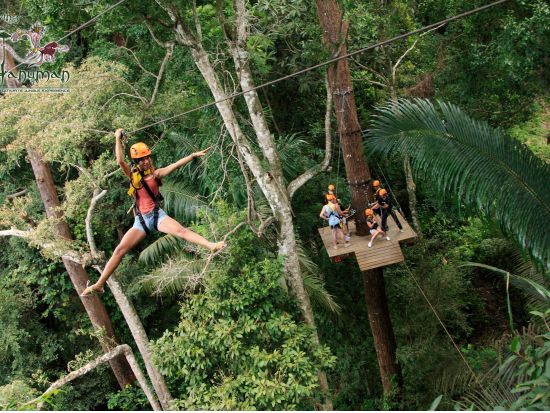 ジャングルで絶叫・絶景・ターザン体験アトラクション！フライング・ハヌマーン(FlyingHanuman)＜ホテル送迎付／英語ガイド／昼食付プランあり＞