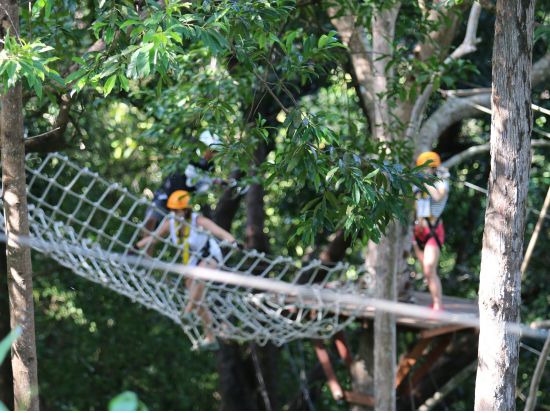 熱帯の密林をターザンのように突き進む！ターザン・アドベンチャー(Tarzan adventure)＜ホテル送迎付／英語ガイド＞