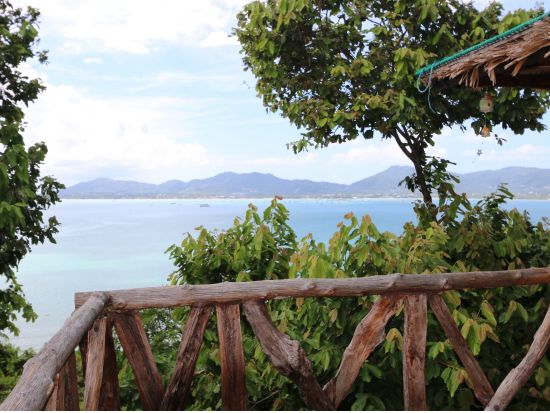 熱帯の密林をターザンのように突き進む！ターザン・アドベンチャー(Tarzan adventure)＜ホテル送迎付／英語ガイド＞