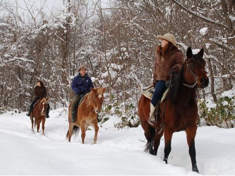 【札幌市内から貸切タクシー送迎付き】雪中乗馬体験 カウボーイの町で保安官ガイドが指導します！＜12～3月／札幌市内送迎付／札幌市＞