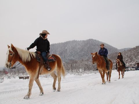 【札幌市内から貸切タクシー送迎付き】雪中乗馬体験 カウボーイの町で保安官ガイドが指導します！＜12～3月／札幌市内送迎付／札幌市＞