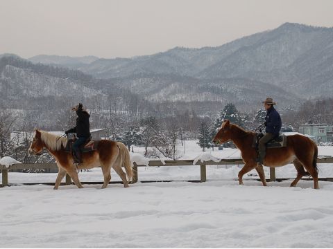 【札幌市内から貸切タクシー送迎付き】雪中乗馬体験 カウボーイの町で保安官ガイドが指導します！＜12～3月／札幌市内送迎付／札幌市＞