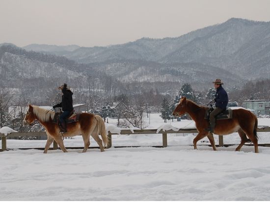 【札幌市内から貸切タクシー送迎付き】雪中乗馬体験 カウボーイの町で保安官ガイドが指導します！＜12～3月／札幌市内送迎付／札幌市＞