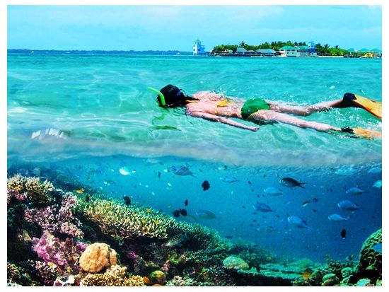 アイランドホッピングツアー　パンダノン島＆ナルスアン島人気の2島巡り ＜英語ガイド／ビュッフェランチ付き＞