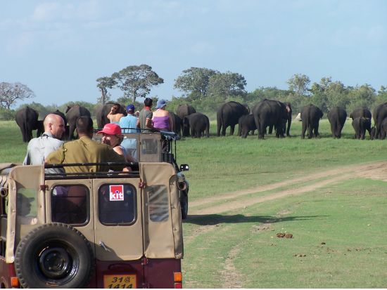 世界遺産シーギリヤロック登頂＆ミンネーリヤ国立公園　1日観光ツアー ＜貸切／日本語ガイド＞