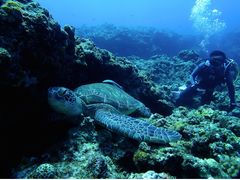 20140605071512_1950620796_10595_9