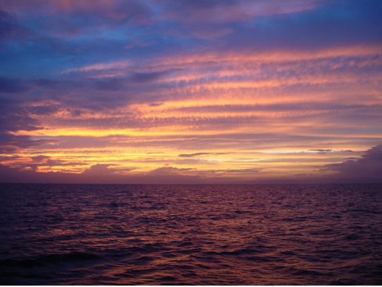 ウミガメシュノーケリング  ☆モアルボアルでウミガメと泳ぐ感動体験！＜送迎／日本語インストラクター／朝＆昼食＞byエメラルドグリーン