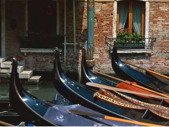 ゴンドラ遊覧 30分コース＋シーフードコースディナー＜貸切＞ by[みゅう]