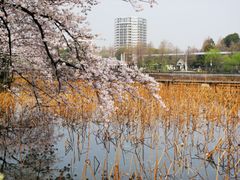 IMG_7694_02_R-1024x768