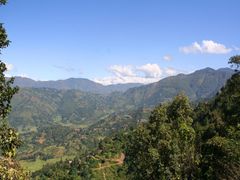 IMG_6511