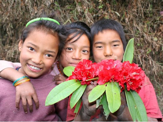 【カトマンズ発・近郊ツアー】ローカルバスで行くカカニ村＆ハイキング＜ホテル送迎／日本語ガイド／昼食付＞
