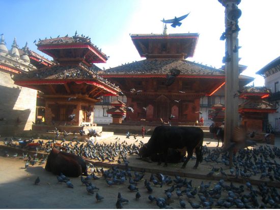 カトマンズを巡る世界遺産のプロ写真撮影ツアー＜ホテル送迎／日本語ガイド／昼食付／カトマンズ発＞