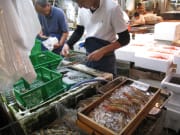 Fresh shrimp and prawns at Tsukiji