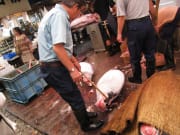 A professional quality checking tuna in Tsukiji