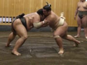 Tokyo sumo wrestling tour