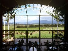 Australia_Yarra Valley_Vineyard view