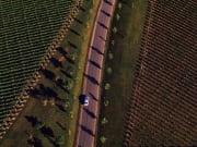 Australia_Yarra Valley_Drive vineyards