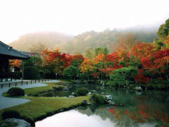 Fall at Tenryuji Temple