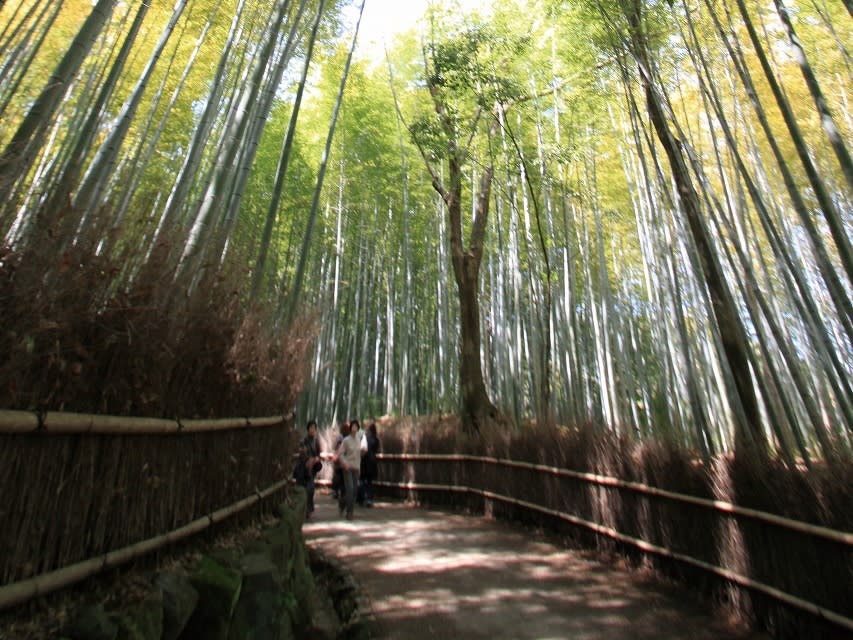 Sagano Bamboo Grove And Arashiyama Walking Tour With Optional ...