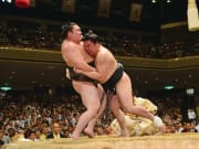 Sumo wrestlers fighting at the tournament