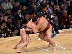 20151231_sumo2