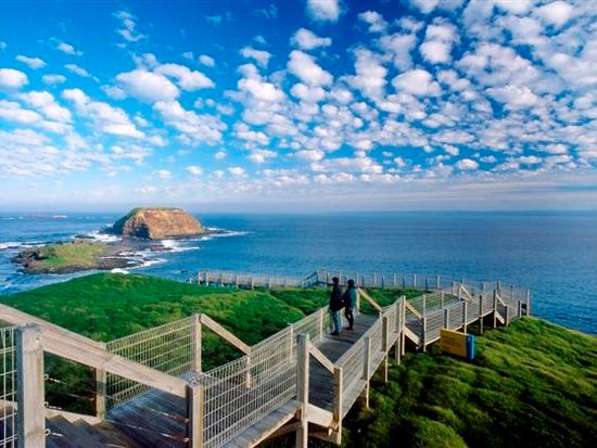 Bunyip Tours - The Nobbies - Peninsula Discovery Tour