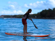 stand_up_paddle_mauisup
