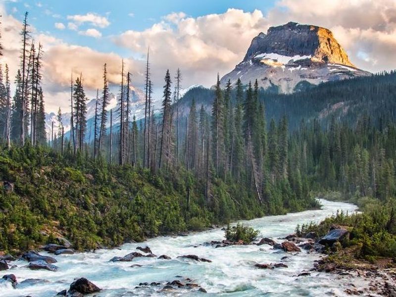 カナディアンロッキー カナダ 旅行の観光 オプショナルツアー予約 Veltra ベルトラ