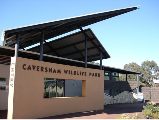 パース市内観光ツアー　カバシャムワイルドライフパーク＆キングスパーク＆パース造幣局 ＜日本語ガイド＞