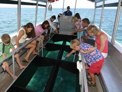 glass-bottom-boat