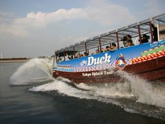 D-②