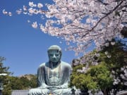 The Daibutsu Buddha in Kamakura in spring