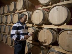 20141209121555_288122_Pablo_Bodegas_Sers