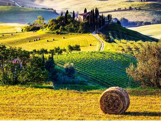 トスカーナ州　モンタルチーノとモンテプルチアーノのワイナリー訪問＆ピエンツァ ＜試飲付き＞