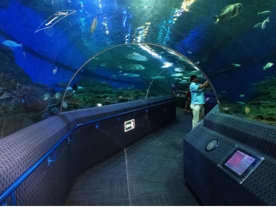 パタヤの水族館「アンダーウォーターワールド(Under Water World)」＜チケット事前手配＞