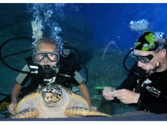 パタヤの水族館「アンダーウォーターワールド(Under Water World)」＜チケット事前手配＞