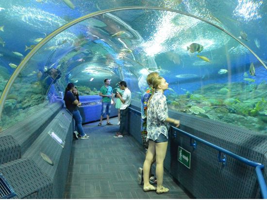 パタヤの水族館「アンダーウォーターワールド(Under Water World)」＜チケット事前手配＞