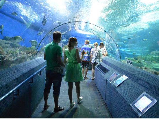 パタヤの水族館「アンダーウォーターワールド(Under Water World)」＜チケット事前手配＞