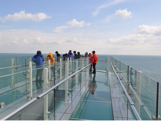 釜山市内観光ツアー　選べる釜山名物グルメを堪能！甘川文化村＋龍宮寺＋五六島スカイウォーク＋南浦洞ロッテモール＜1日／日本語ガイド／ホテル送迎＞