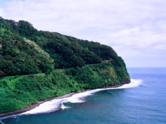Hawaii_Maui_Temptation Tours_Road to Hana
