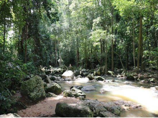 【サムイ発】初めてのサムイ島にオススメ！日本語ガイドと巡る☆ぐるっとサムイ島半日(午前)観光ツアー＜午前／ホテル送迎付／日本語ガイド／昼食選択可＞