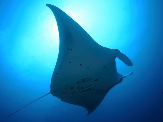 20150123090103_313550_IMG_0172