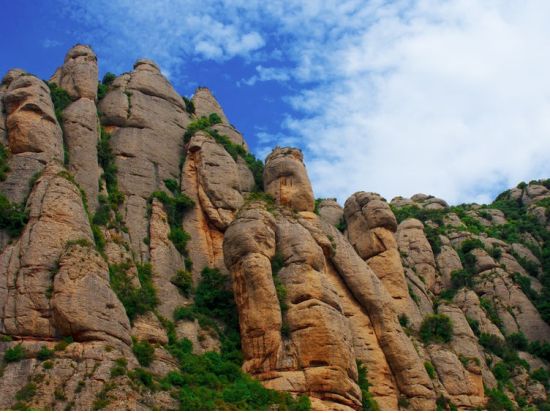 モンセラット 半日観光ツアー ＜列車利用／午前／日本語／バルセロナ発＞