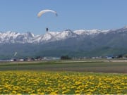 Flying over Furano with a paraglider