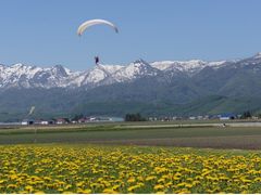 Flying over Furano with a paraglider