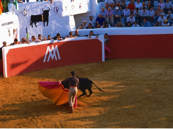 闘牛観戦ツアー　ラス・ベンタス闘牛場＜日本語／午後／マドリード発＞by [みゅう]