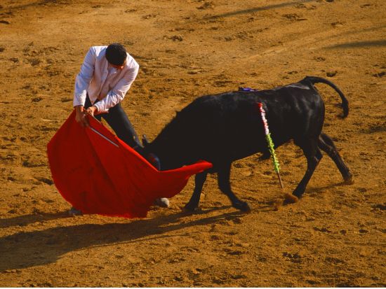 闘牛観戦ツアー　ラス・ベンタス闘牛場＜日本語／午後／マドリード発＞by [みゅう]