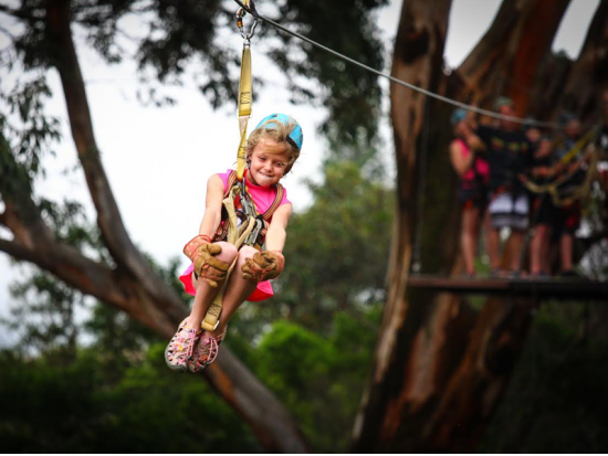 ジップライン7本ツアー　フリースタイルのジップラインでノースショアの景色を堪能＜英語ガイド＞