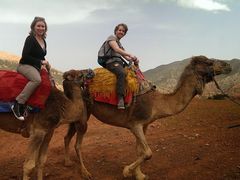 Atlas Camel Trek-001